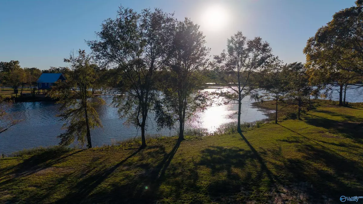 Cedar Bluff, AL 35959,Lot 36 County Road 115