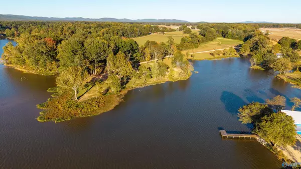 Cedar Bluff, AL 35959,Lot 35 County Road 115