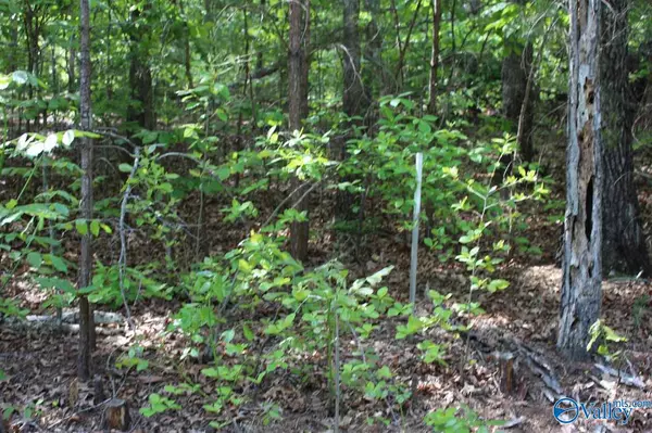 Valley Head, AL 35989,Lot 4 Hickory Lane