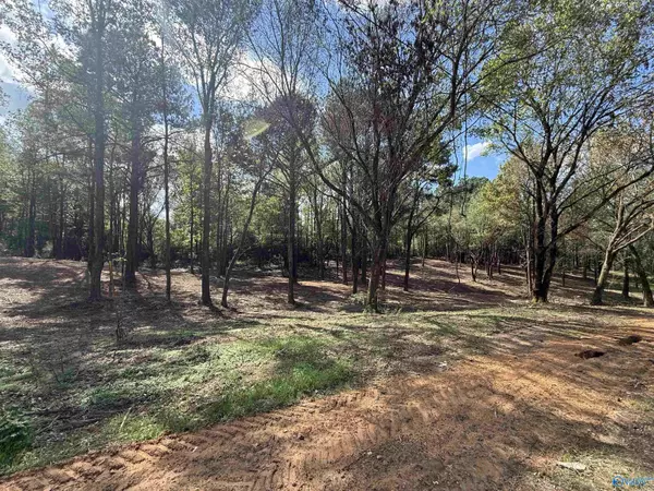 Vinemont, AL 35179,#1A County Road 1123