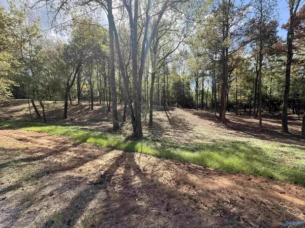 Vinemont, AL 35179,#12A County Road 1123