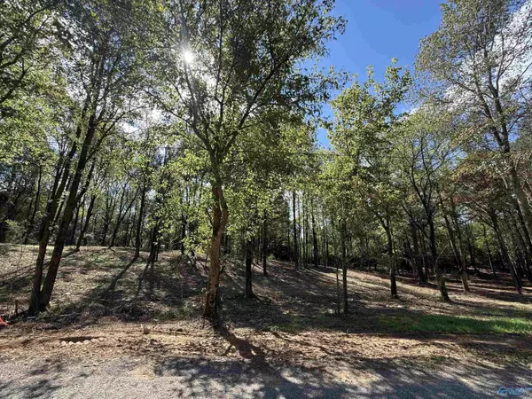 #12B County Road 1123, Vinemont, AL 35179