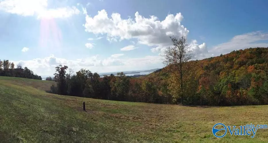 Lot 50 County Road 767, Cedar Bluff, AL 35959