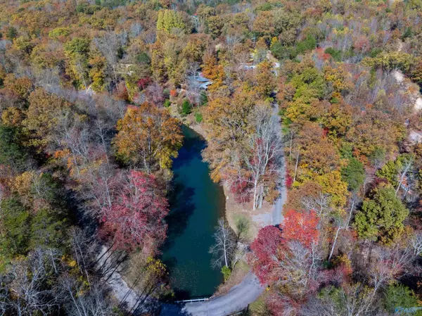 Mentone, AL 35984,12561 County Road 103