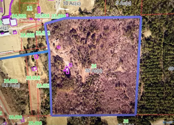 250 Wildcat Woods, Sand Rock, AL 35983