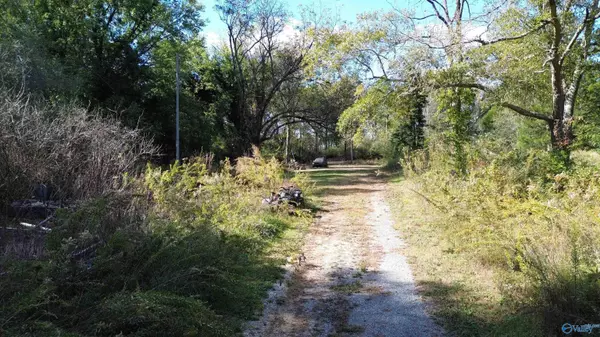 Sand Rock, AL 35983,250 Wildcat Woods