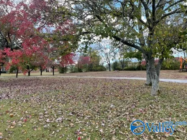 Decatur, AL 35603,2703 Highway 31 S