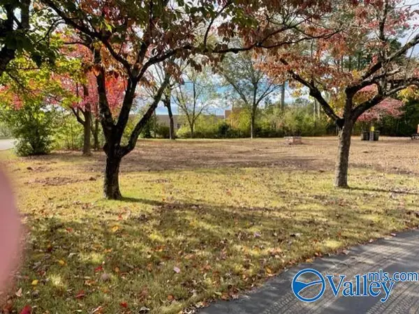 Decatur, AL 35603,2703 Highway 31 S