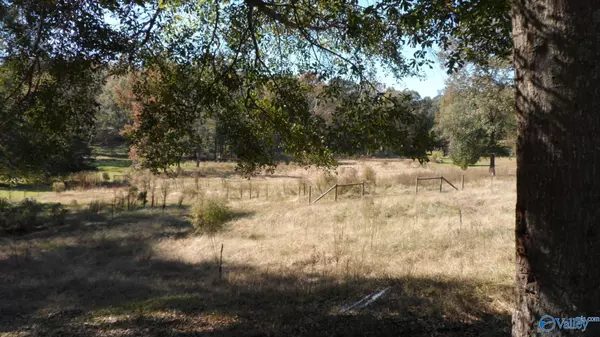 Southside, AL 35907,5380 Mountain Pass Road