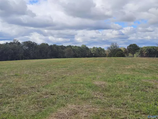 Holly Pond, AL 35083,16.99 County Road 1753