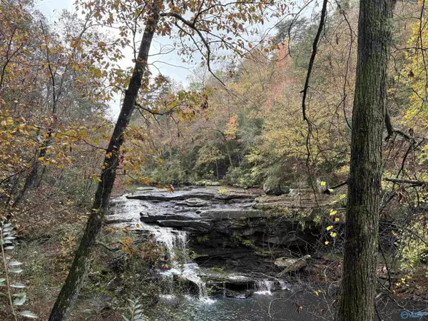 Pisgah, AL 35765,1130 County Road 376