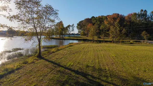 Cedar Bluff, AL 35959,Lot 30 County Road 115