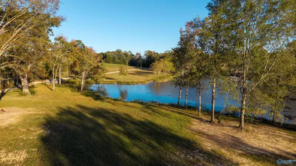 Cedar Bluff, AL 35959,Lot 30 County Road 115