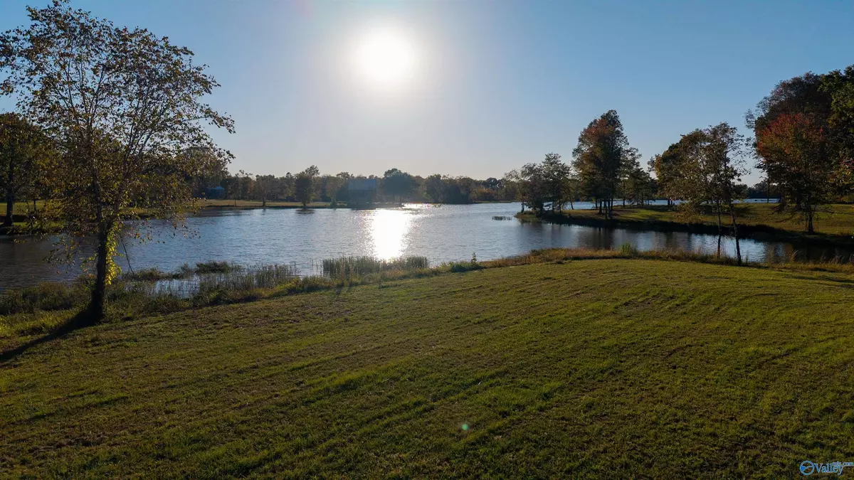 Cedar Bluff, AL 35959,Lot 29 County Road 115