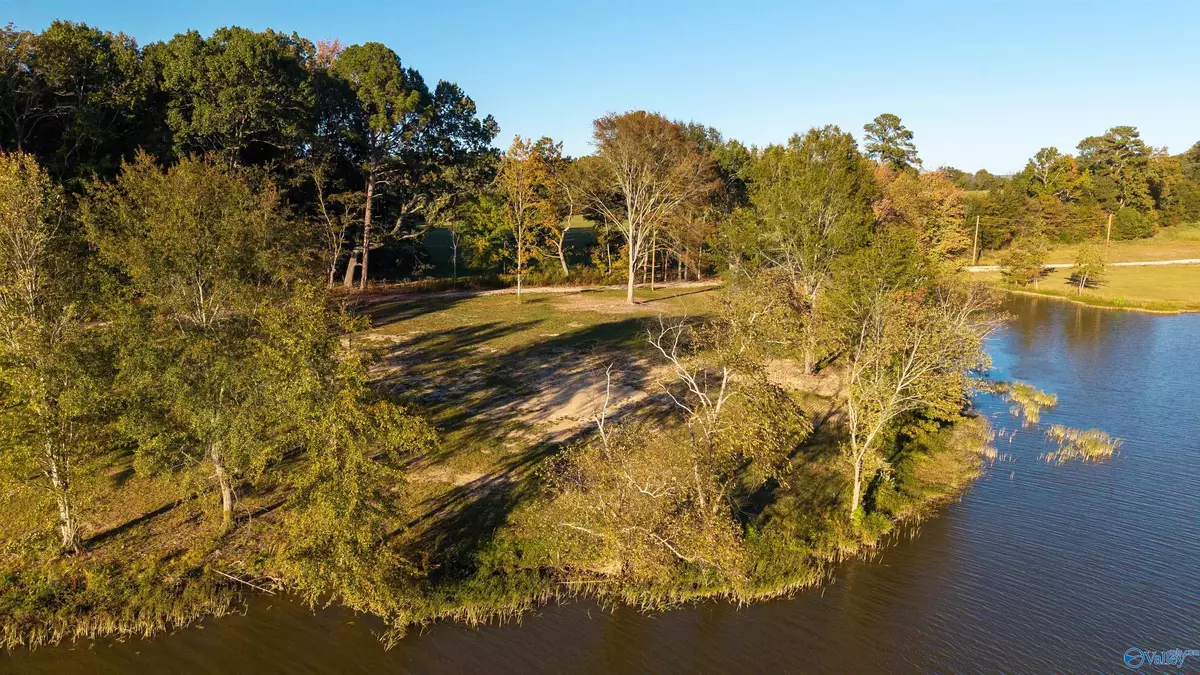 Cedar Bluff, AL 35959,Lot 25 County Road 115
