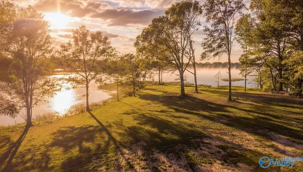 Cedar Bluff, AL 35959,Lot 22 County Road 115