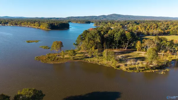 Cedar Bluff, AL 35959,Lot 27 County Road 115