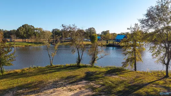 Cedar Bluff, AL 35959,Lot 27 County Road 115