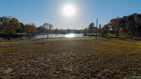 Cedar Bluff, AL 35959,Lot 45 County Road 115