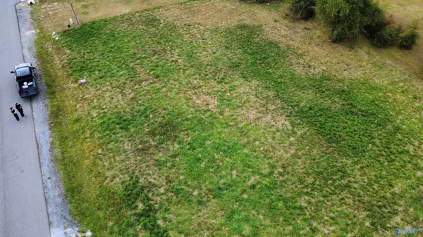 Rainsville, AL 35986,Lot 2 Edgewood Street