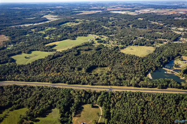 Trinity, AL 35673,125 +/- acres Hwy 24