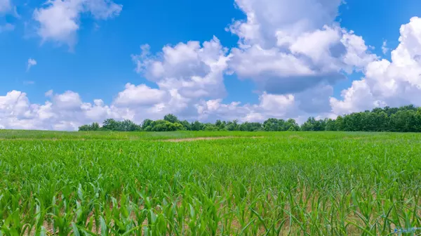 Section, AL 35771,14.1 County Road 62