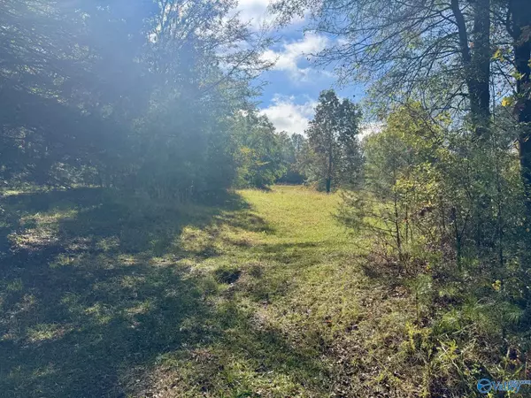 Decatur, AL 35603,3.15 acres Woodtrail SW