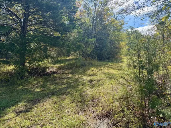 Decatur, AL 35603,3.15 acres Woodtrail SW