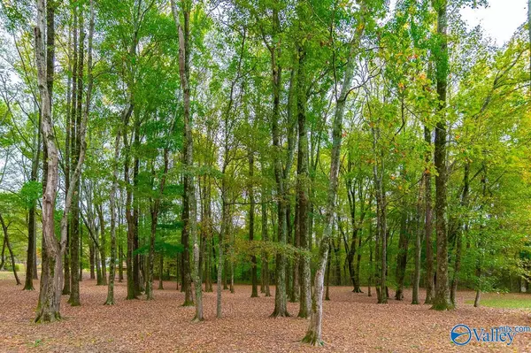 Somerville, AL 35670,213 Brookhill Road