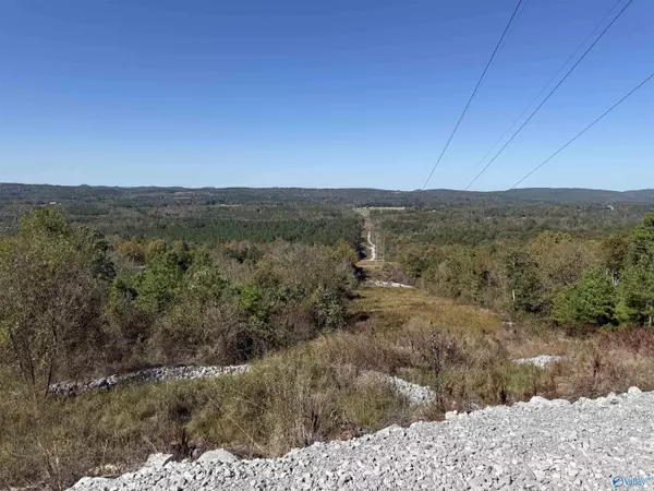 Gadsden, AL 35904,116 ACRES Lay Springs Road