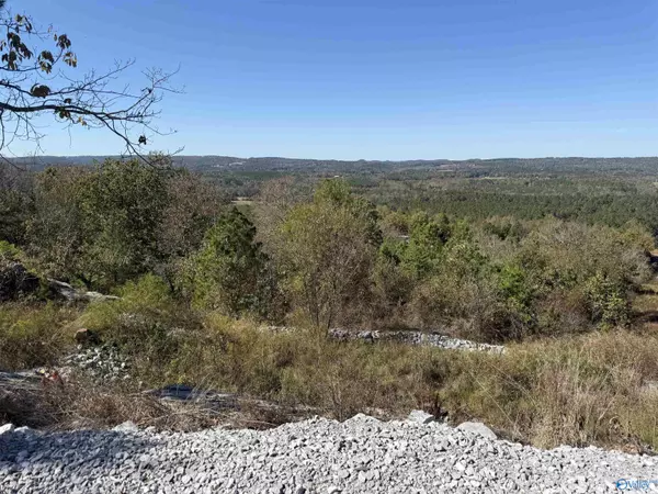 Gadsden, AL 35904,116 ACRES Lay Springs Road