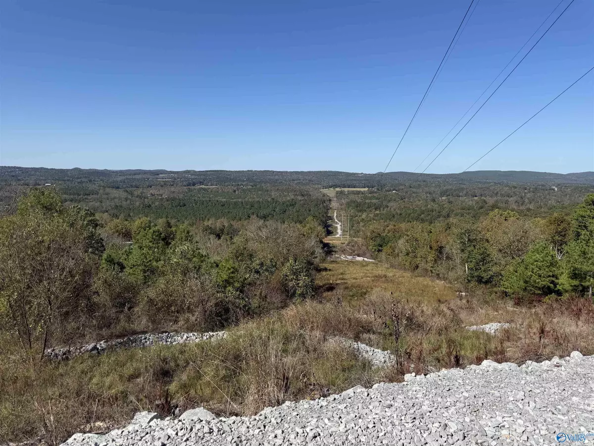 Gadsden, AL 35904,116 ACRES Lay Springs Road