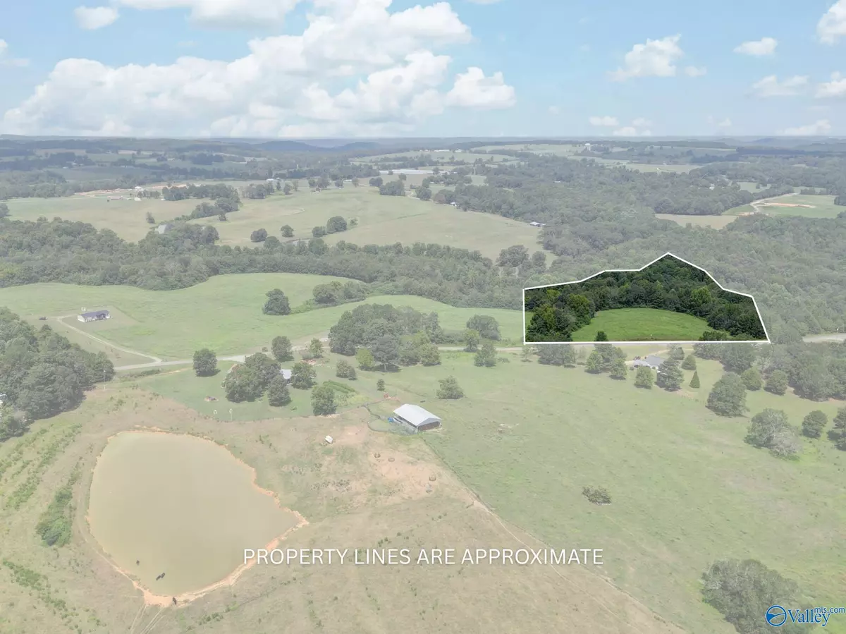 Horton, AL 35980,9+/- Acres Mcclarty Road