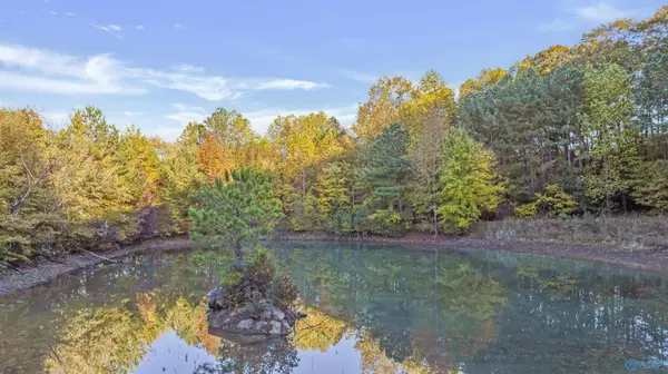 10.57 acres County Road 166, Fort Payne, AL 35967