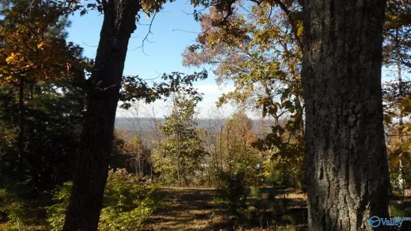 Fort Payne, AL 35967,2612 Aberdeen Lane NE