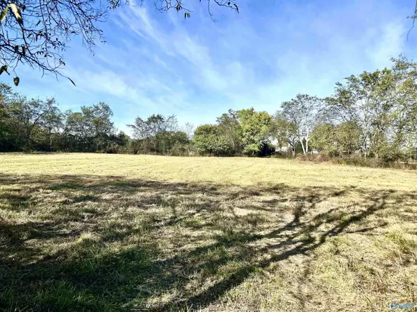 17.25 W Hwy 11, Pulaski, TN 38478