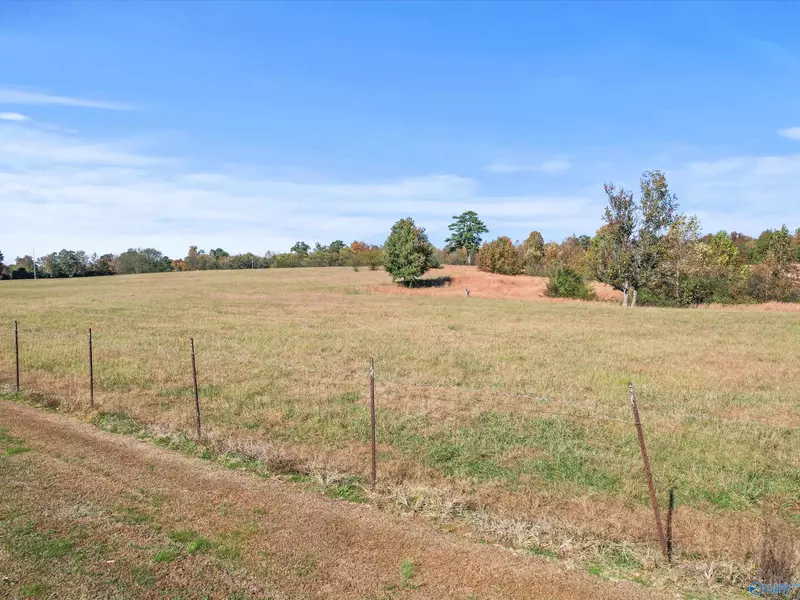 99+/- Acres Hobbs Loop Road, Ardmore, AL 35739