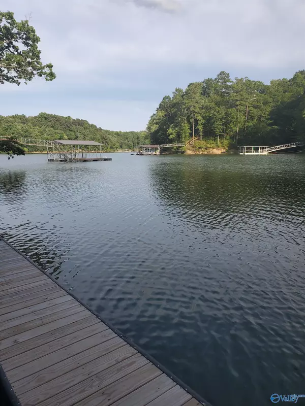 Crane Hill, AL 35053,Lot 7 County Road 373