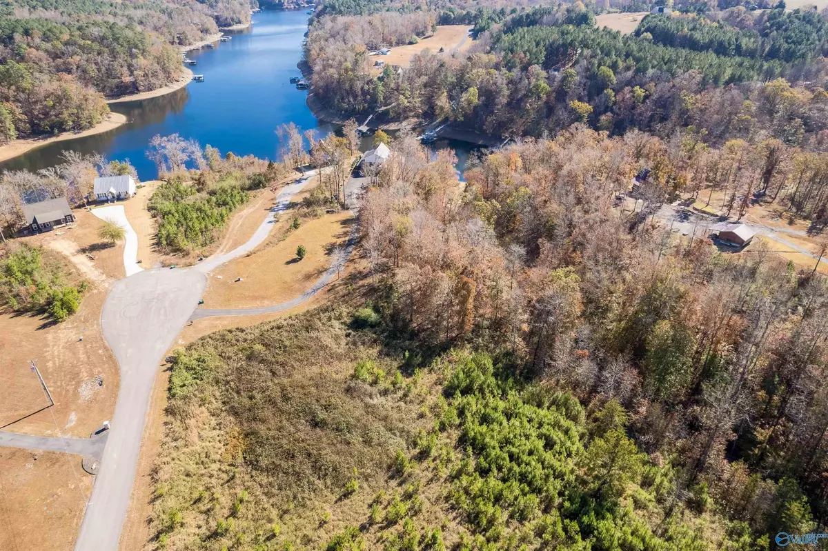 Crane Hill, AL 35053,Lot 7 County Road 373