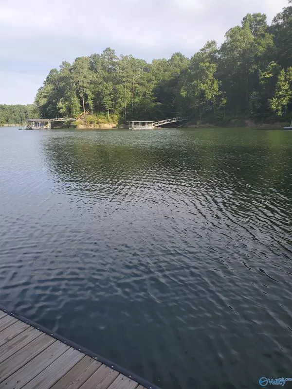 Crane Hill, AL 35053,Lot 7 County Road 373