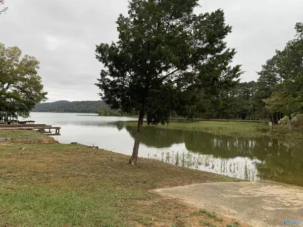 Southside, AL 35907,0.69 Beech Hollow Lane