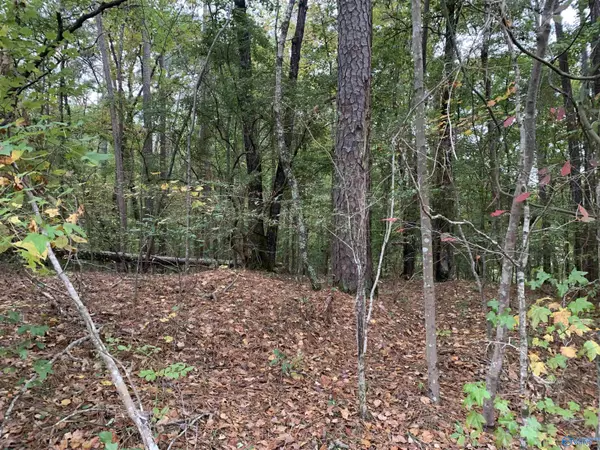 Southside, AL 35907,0.69 Beech Hollow Lane