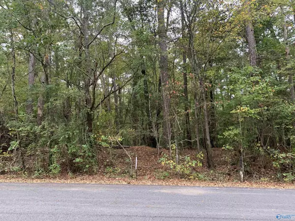 0.69 Beech Hollow Lane, Southside, AL 35907