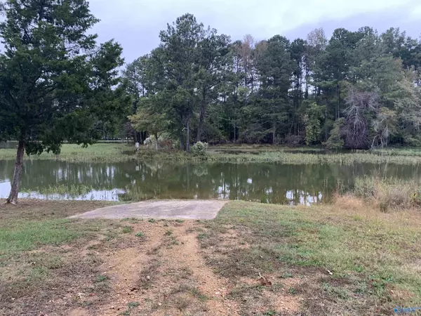 Southside, AL 35907,0.69 Beech Hollow Lane