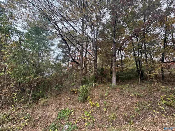 Gadsden, AL 35905,1 Davis Place