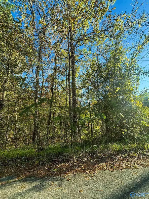 Attalla, AL 35954,11 SE Wilson Street