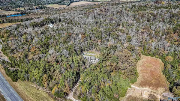 Woodville, AL 35776,16735 County Road 8