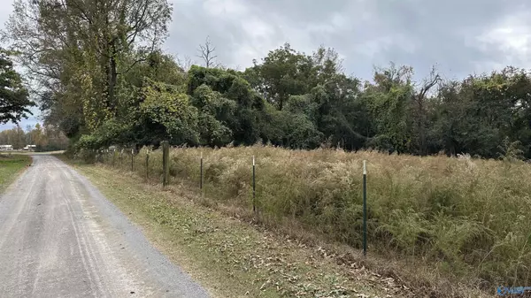 Falkville, AL 35622,TBD Mt Carmel Road