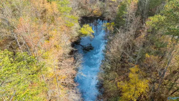 Fort Payne, AL 35968,6.7+/-acres County Road 85