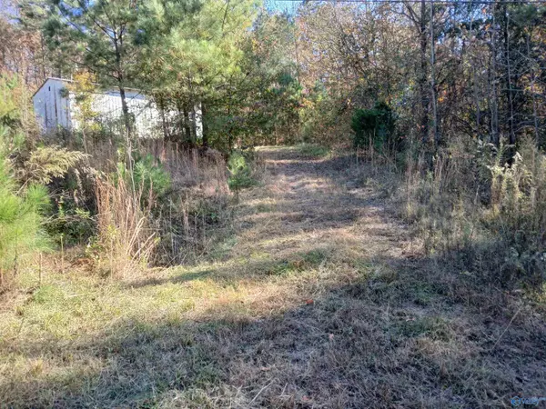 Baileyton, AL 35019,874 Double S Mountain Road